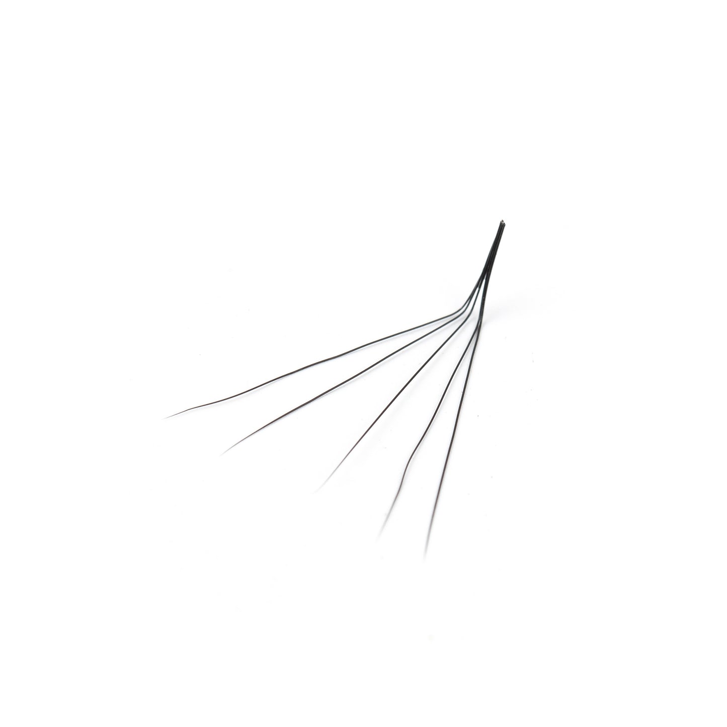 L Curl 5D 0.07