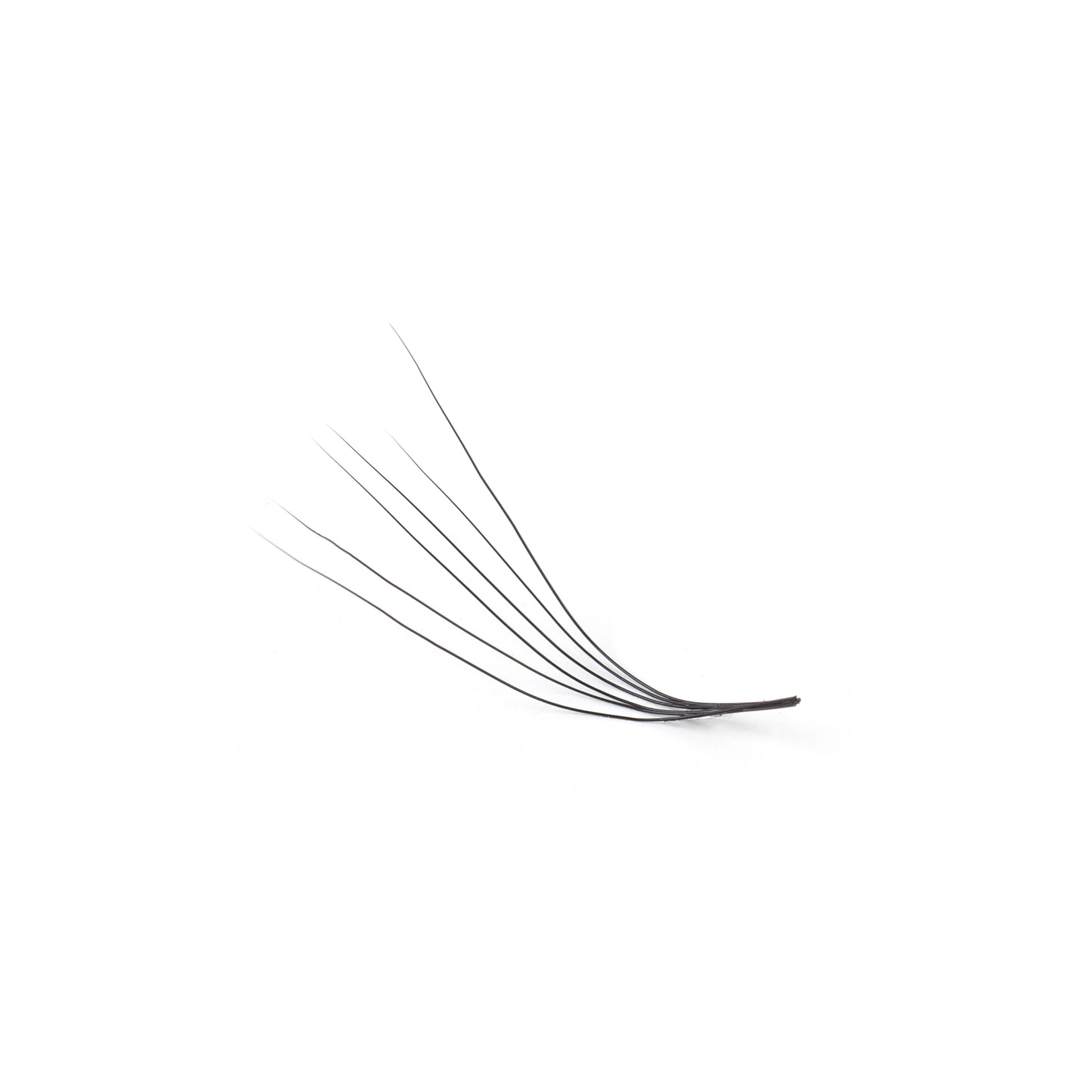 Promade Lash Fans