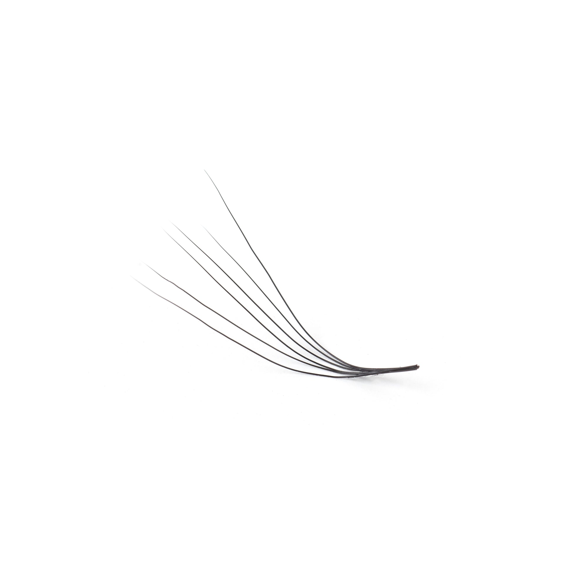 Promade Lash Fans