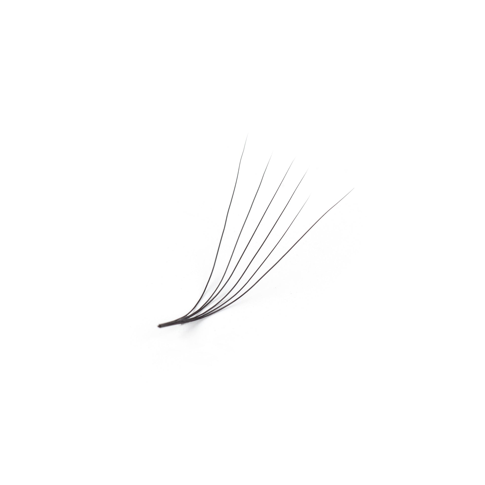 Promade Lash Fans