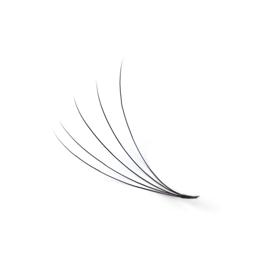 Lash Extensions Fans