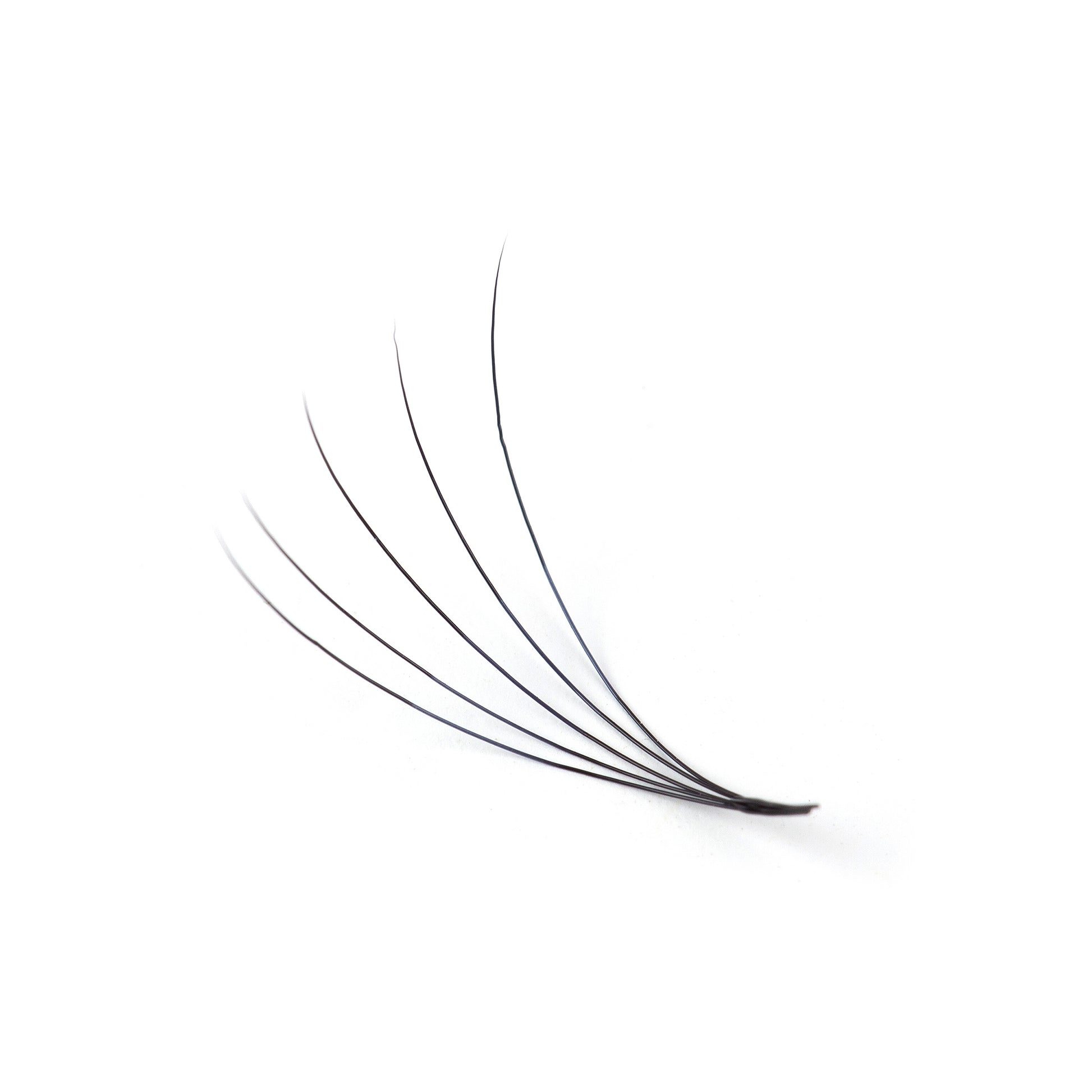Pro Made Lash Fans