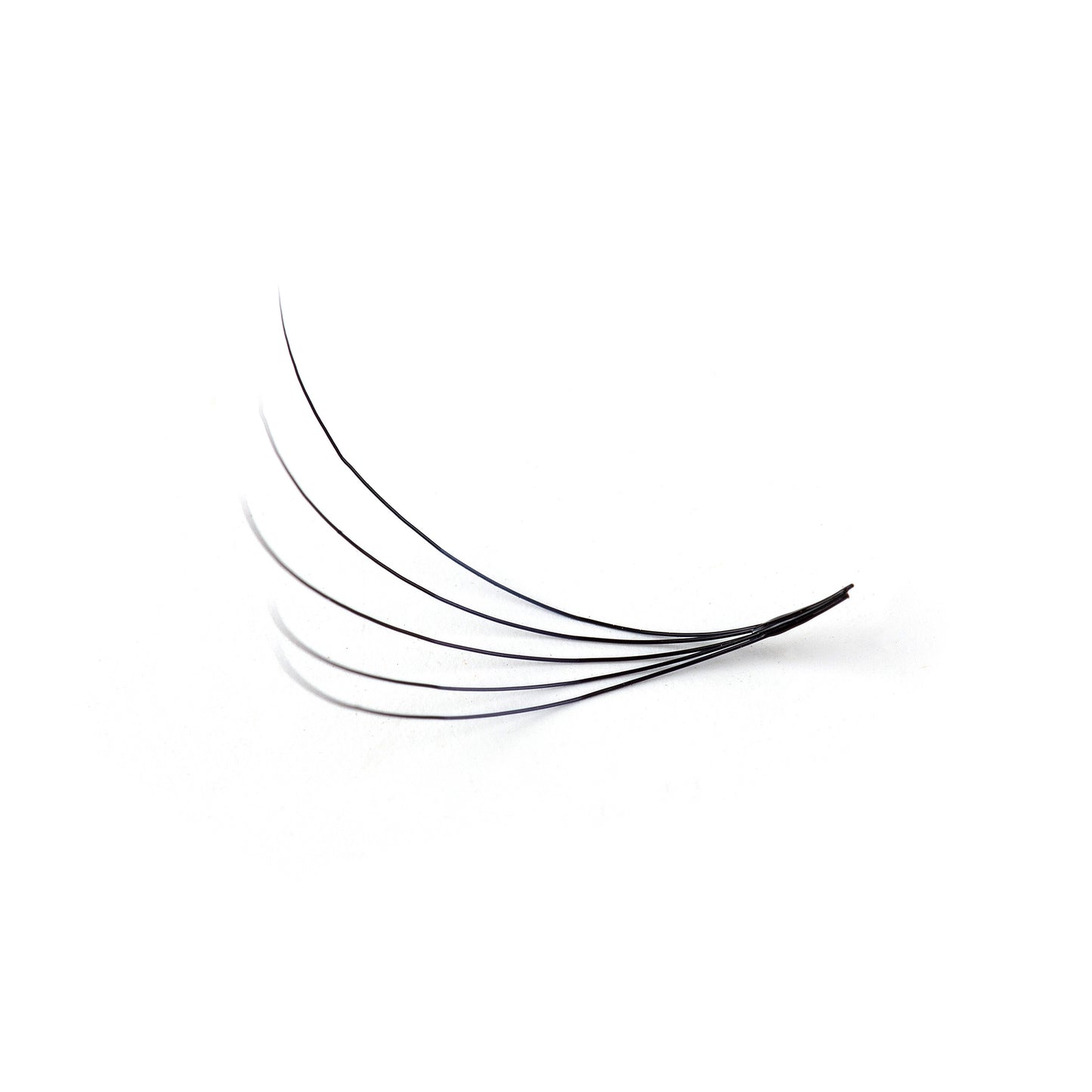 Pro Made Lash Fans