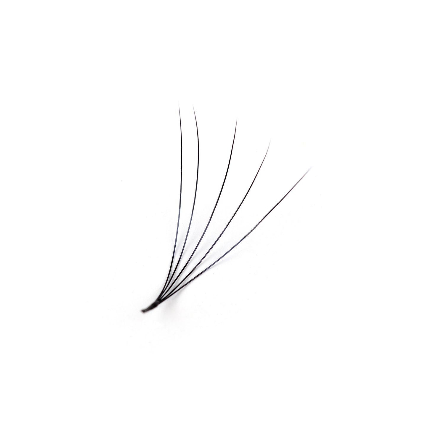Pro Made Lash Fans