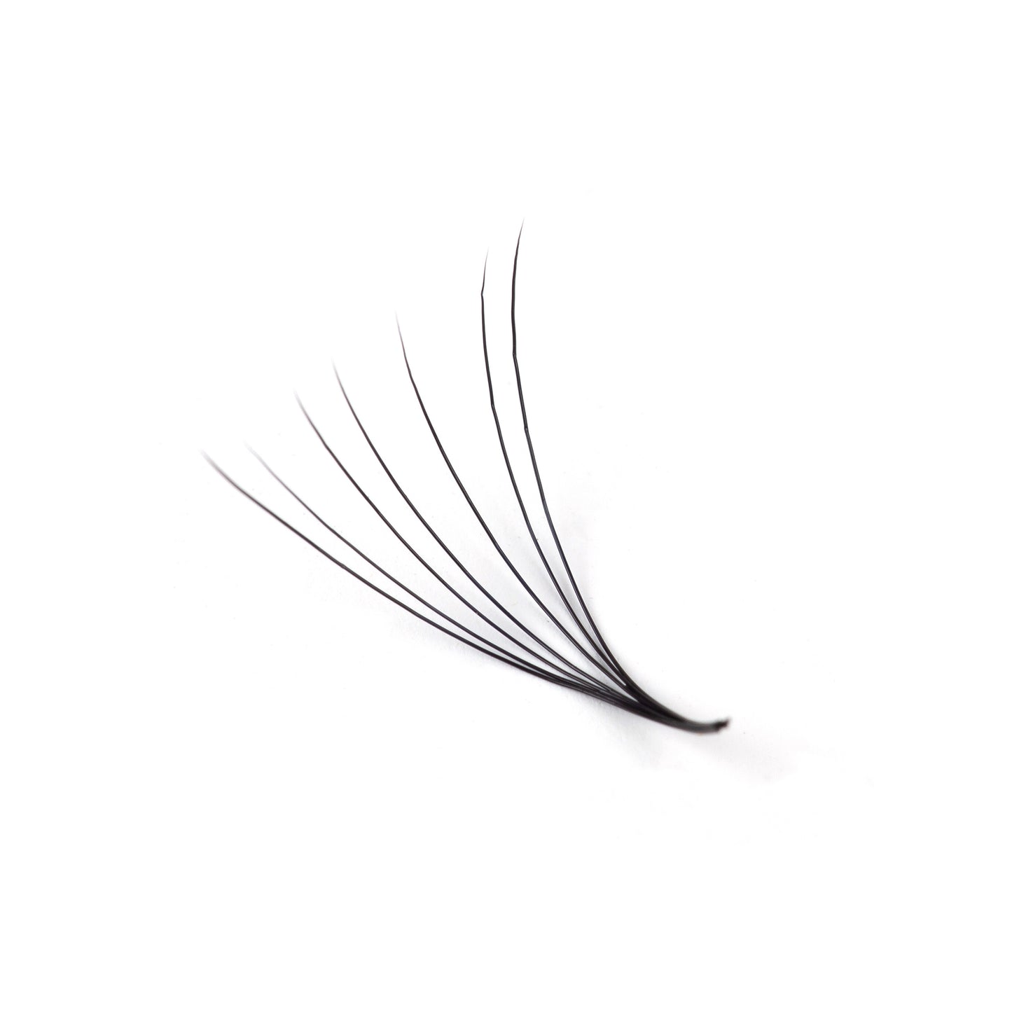Classic Hybrid Volume Lashes