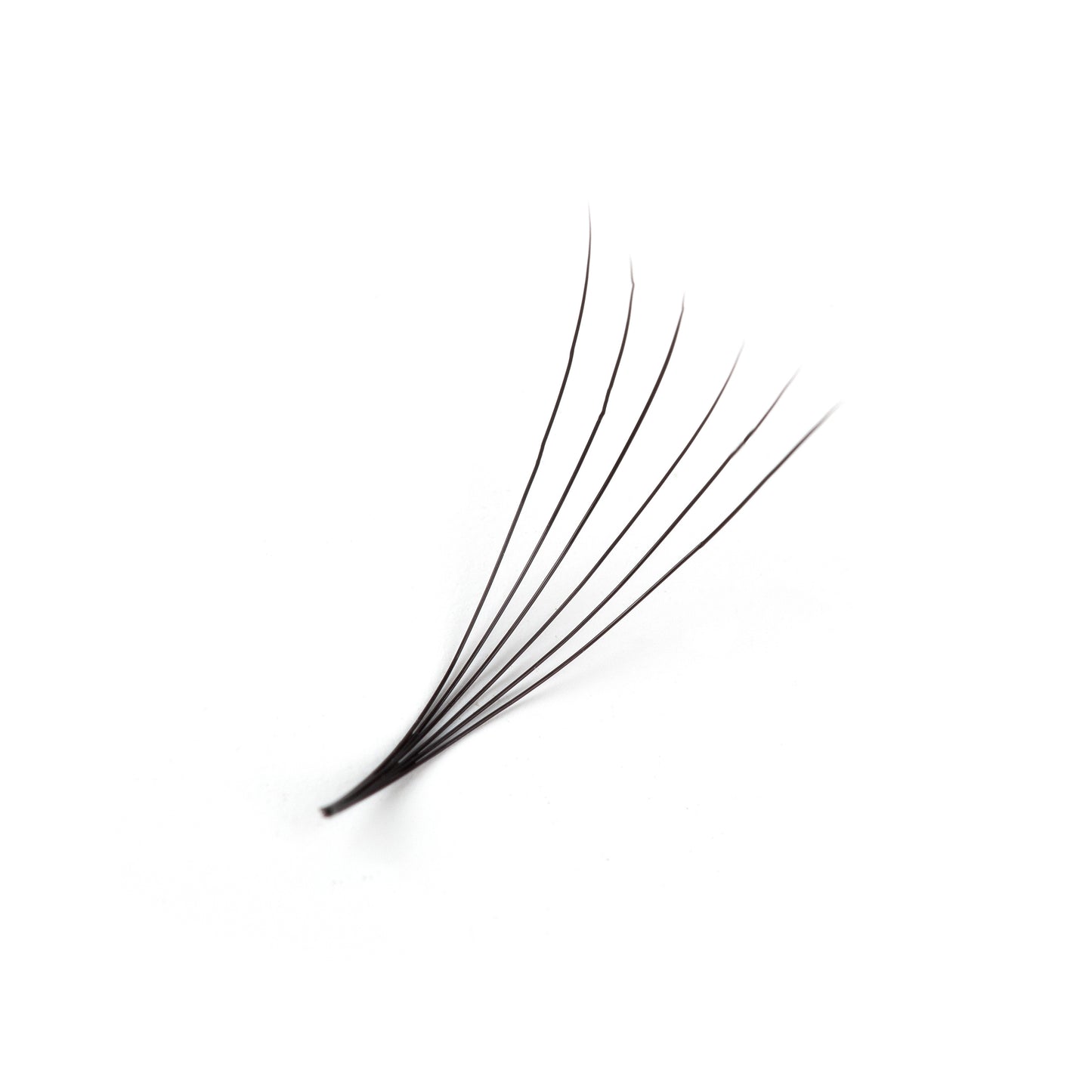 Best Eyelash Extensions