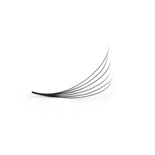 D Curl Lashes