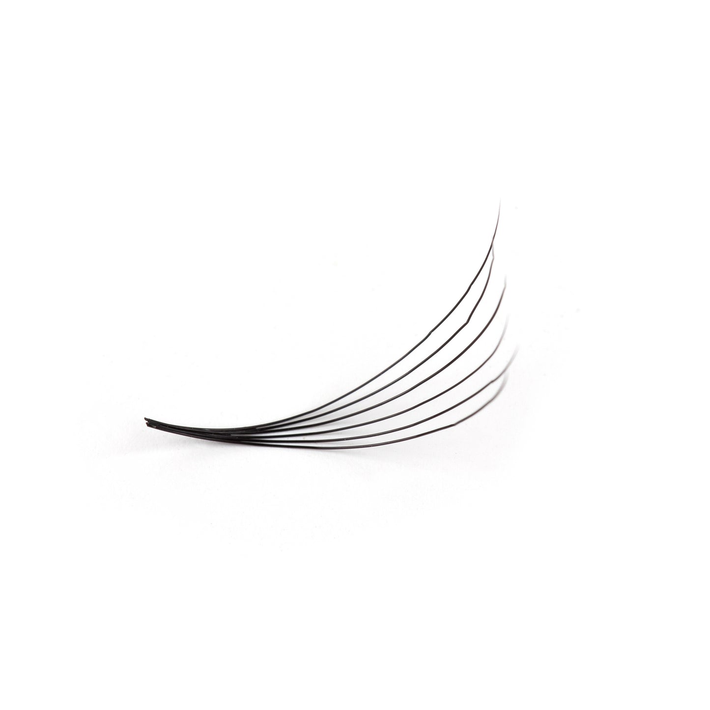 Best Eyelash Extensions