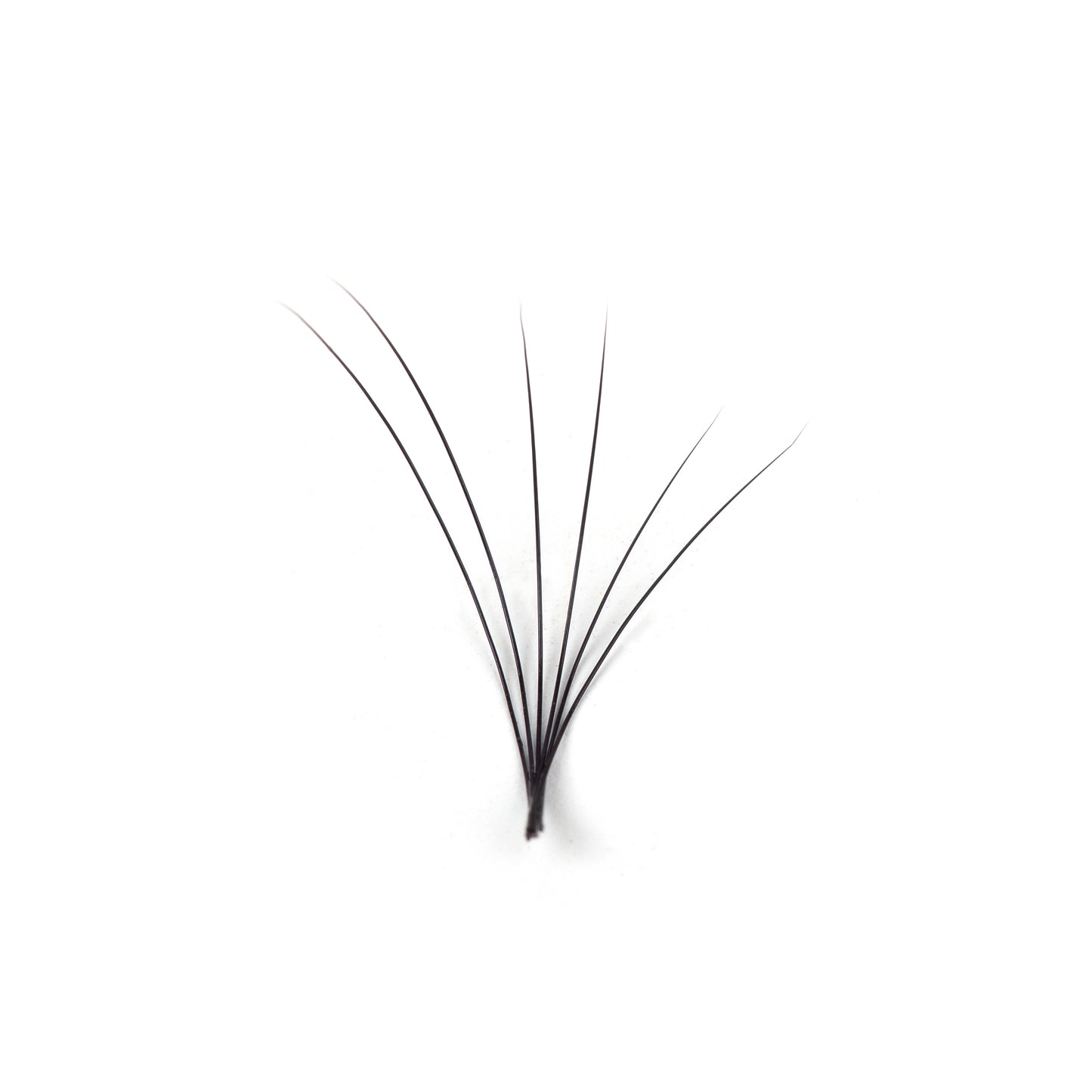 Classic Eyelash Extensions