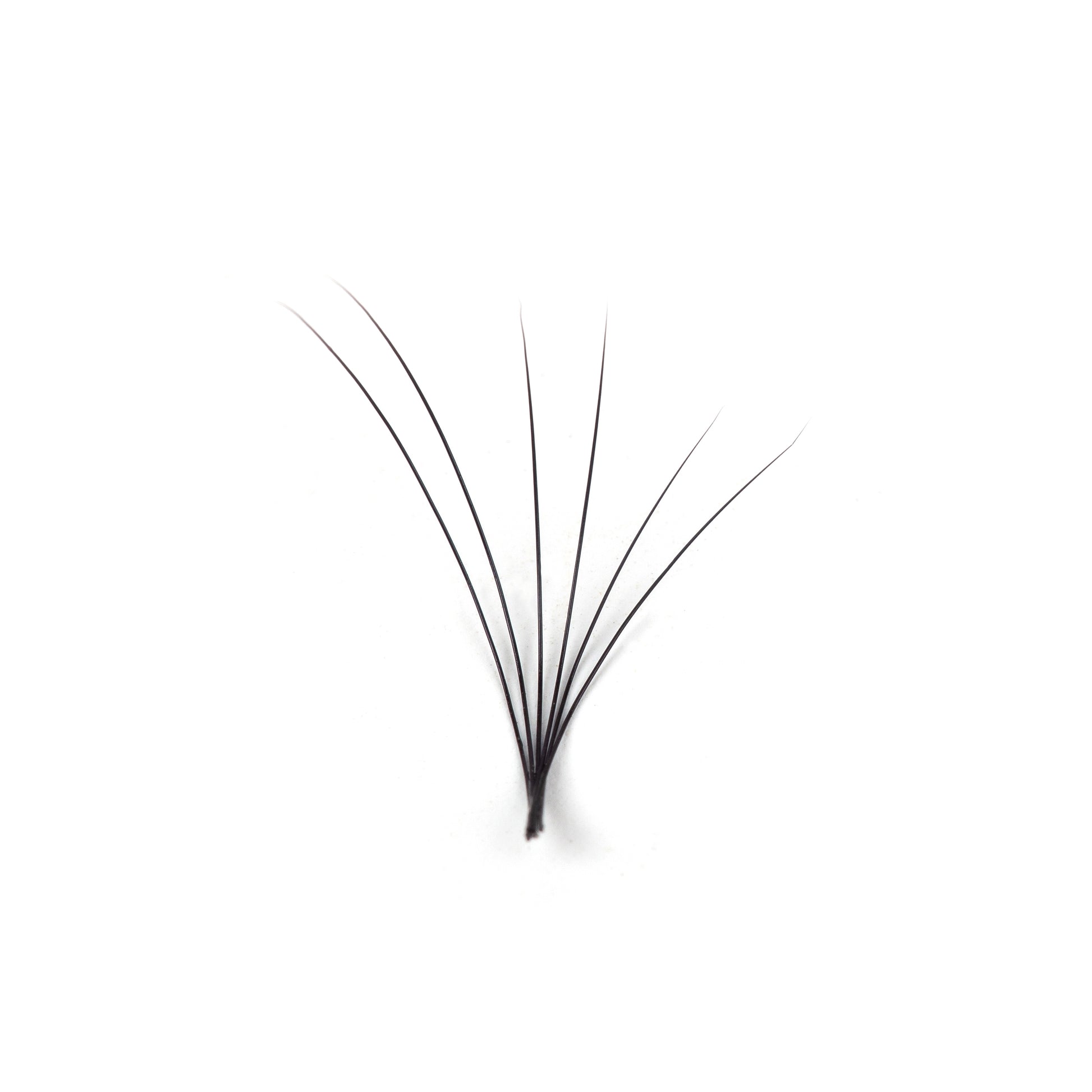 Classic Eyelash Extensions