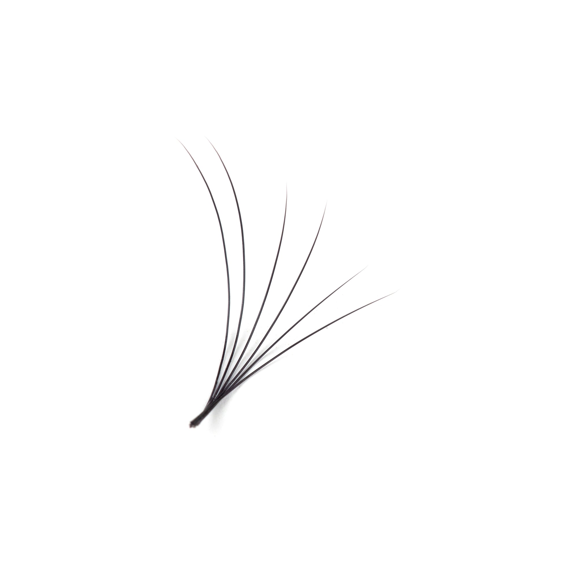Classic Eyelash Extensions