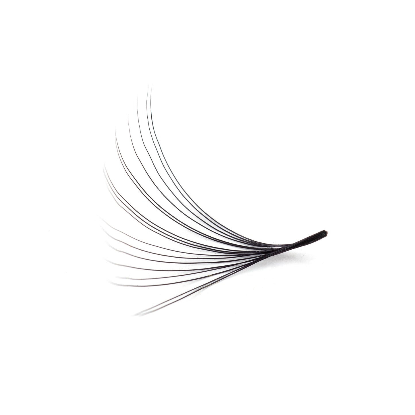 Mega Volume Lashes
