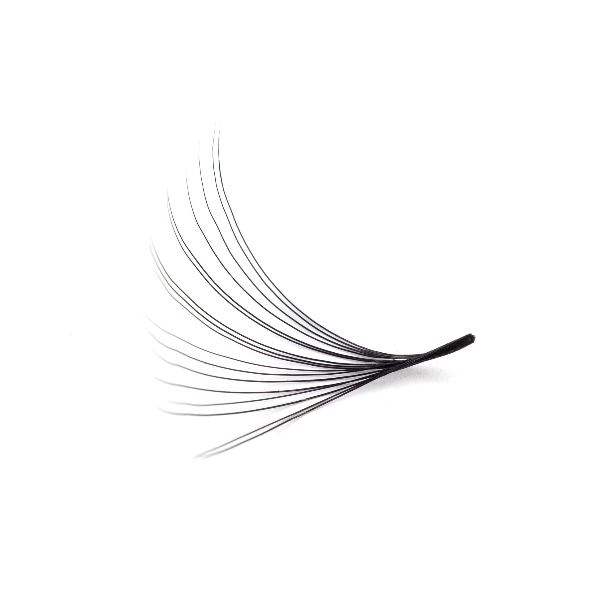 Mega Volume Lashes