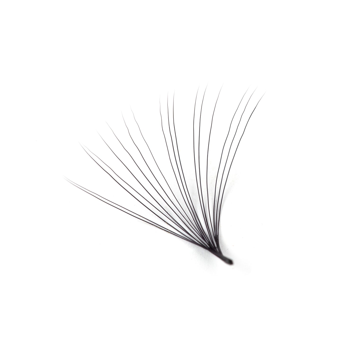 Mega Volume Lashes