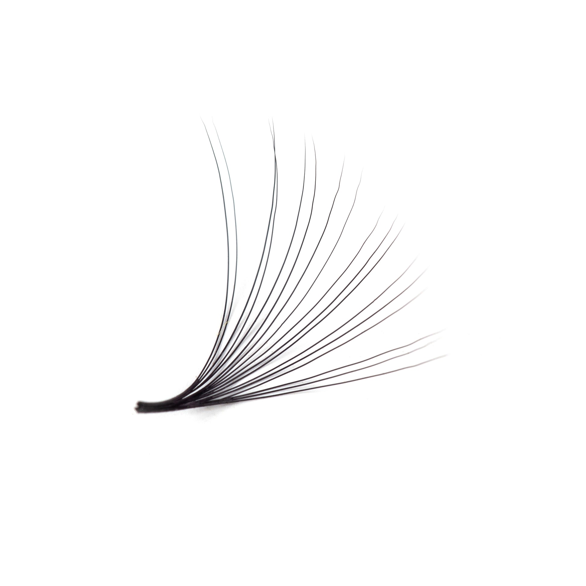 Mega Volume Lashes