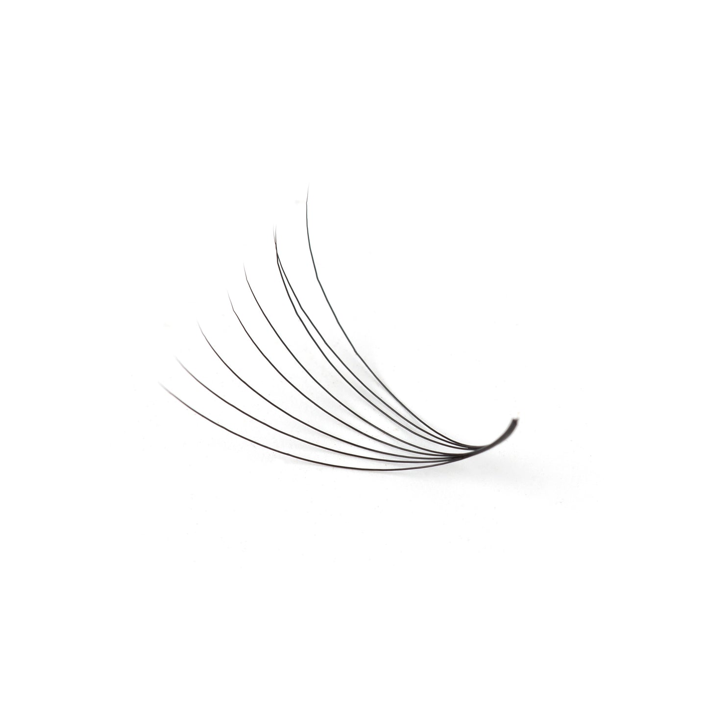 Natural Looking Eyelash Extensions