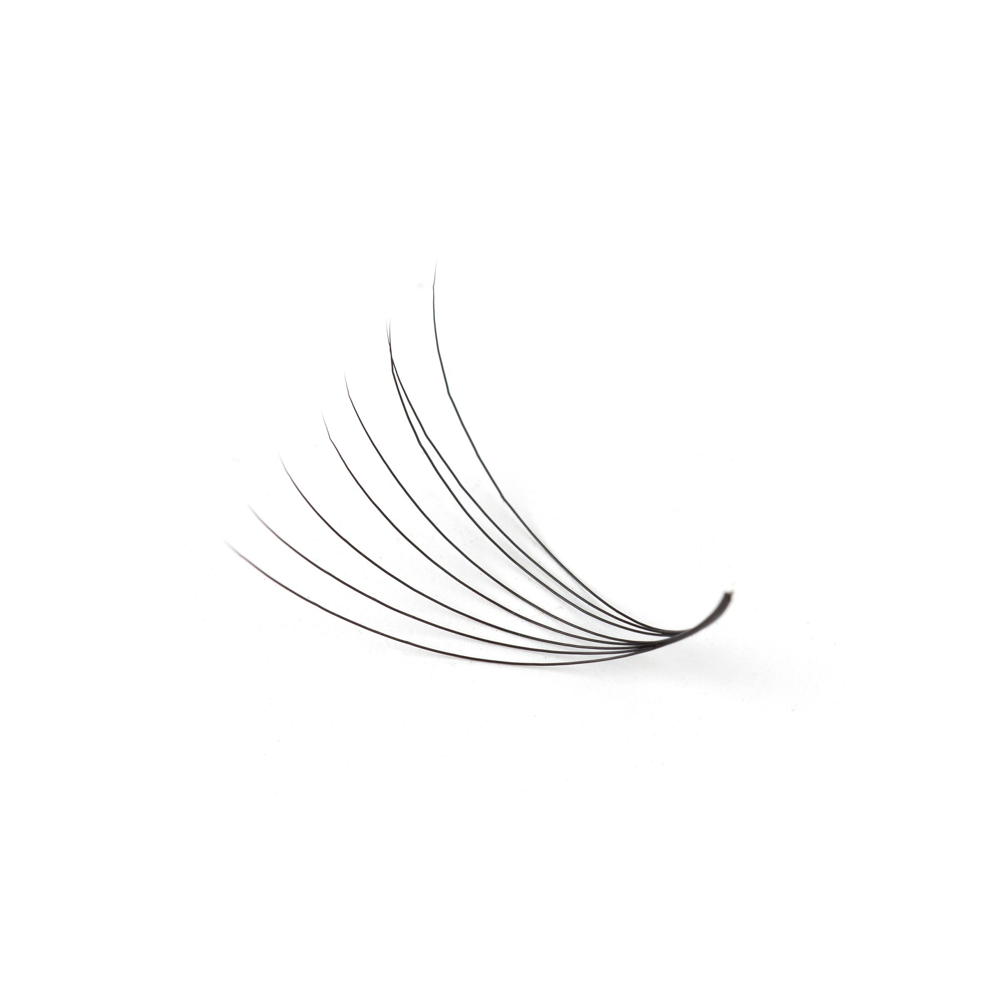 Natural Looking Eyelash Extensions