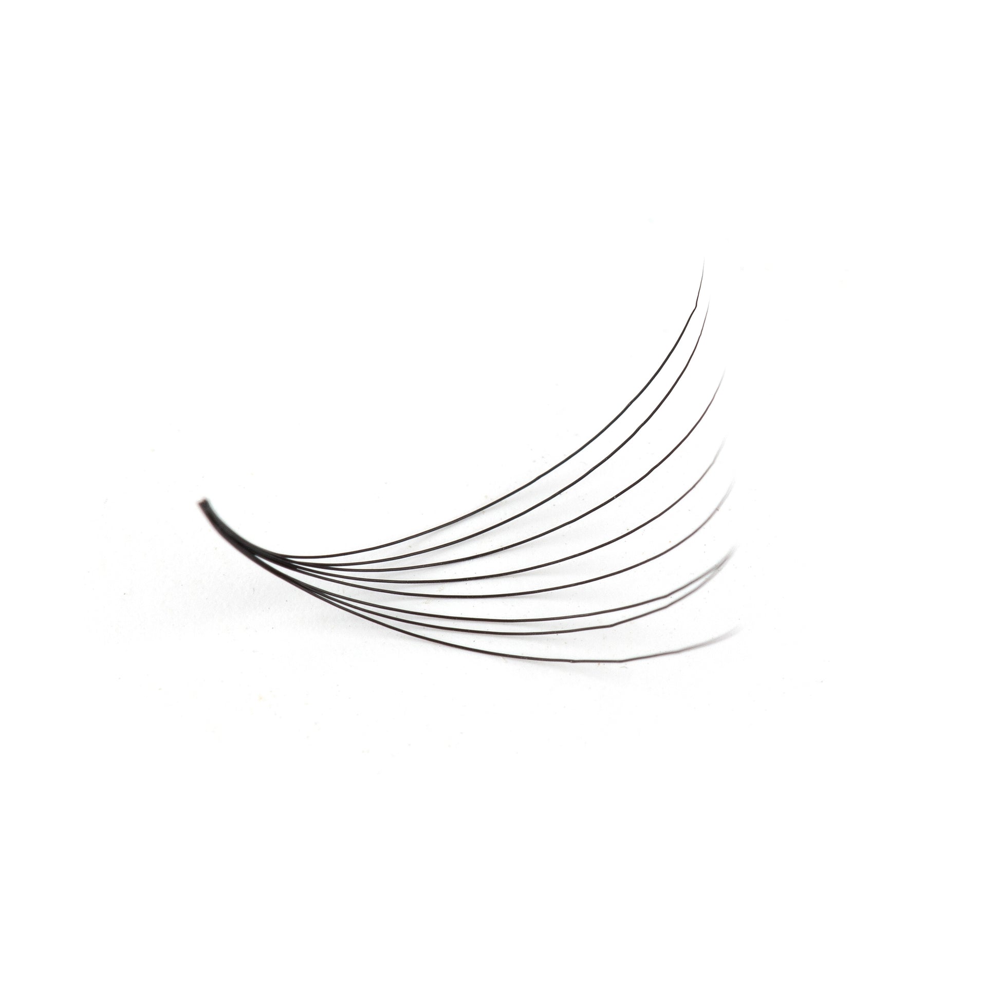Natural Looking Eyelash Extensions
