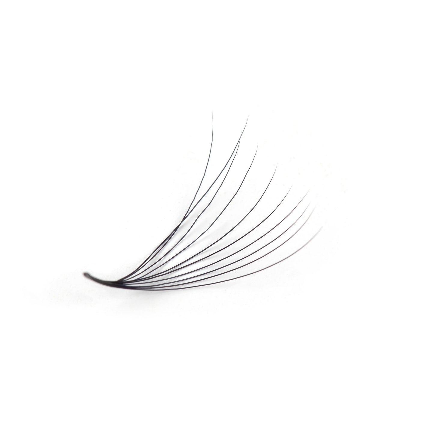 Hybrid Lash Extensions