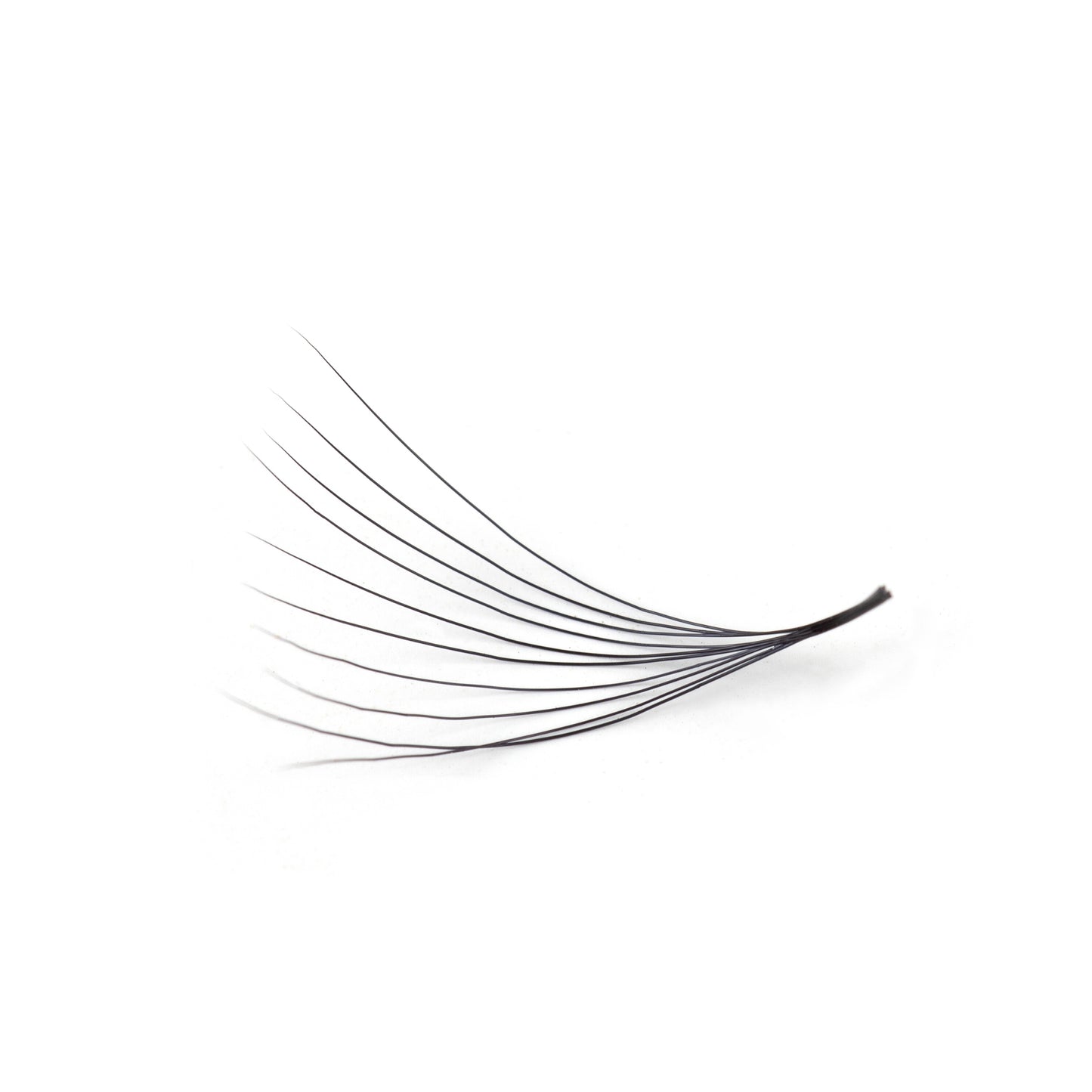 Permanent Eyelash Extensions