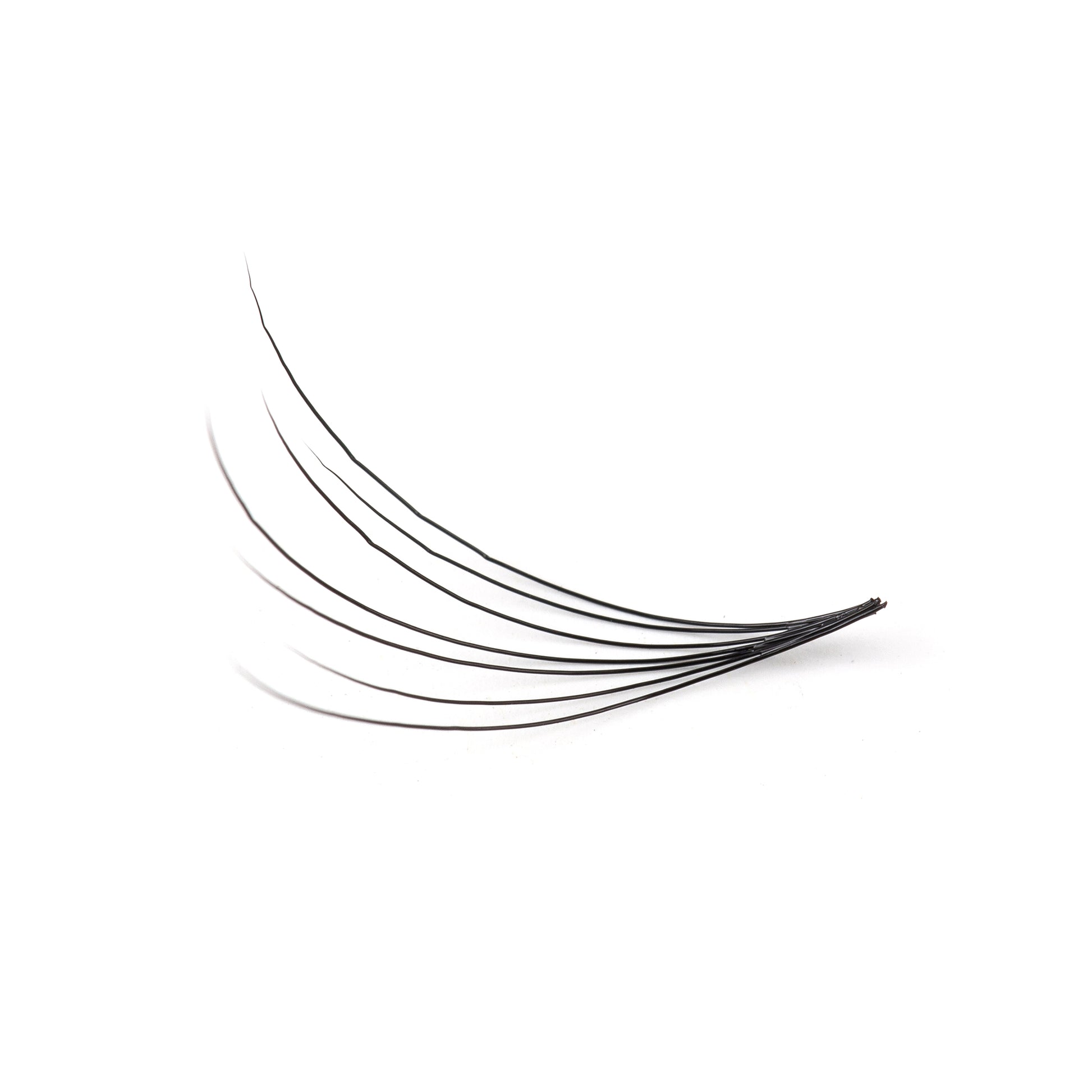 Camellia Volume Lashes