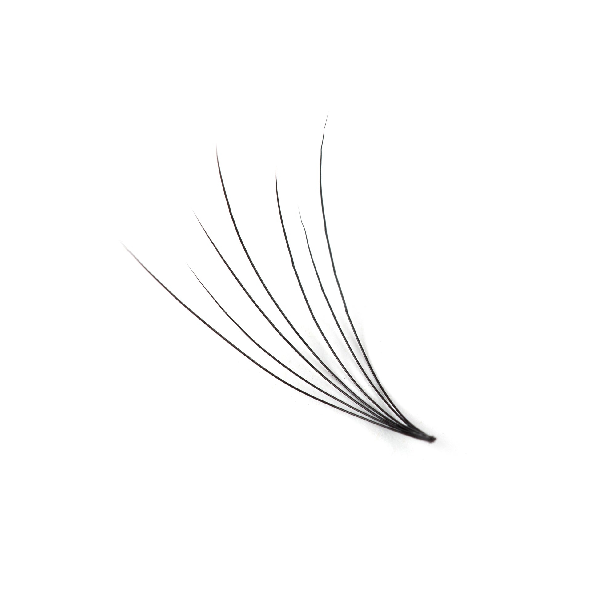 Camellia Volume Lashes