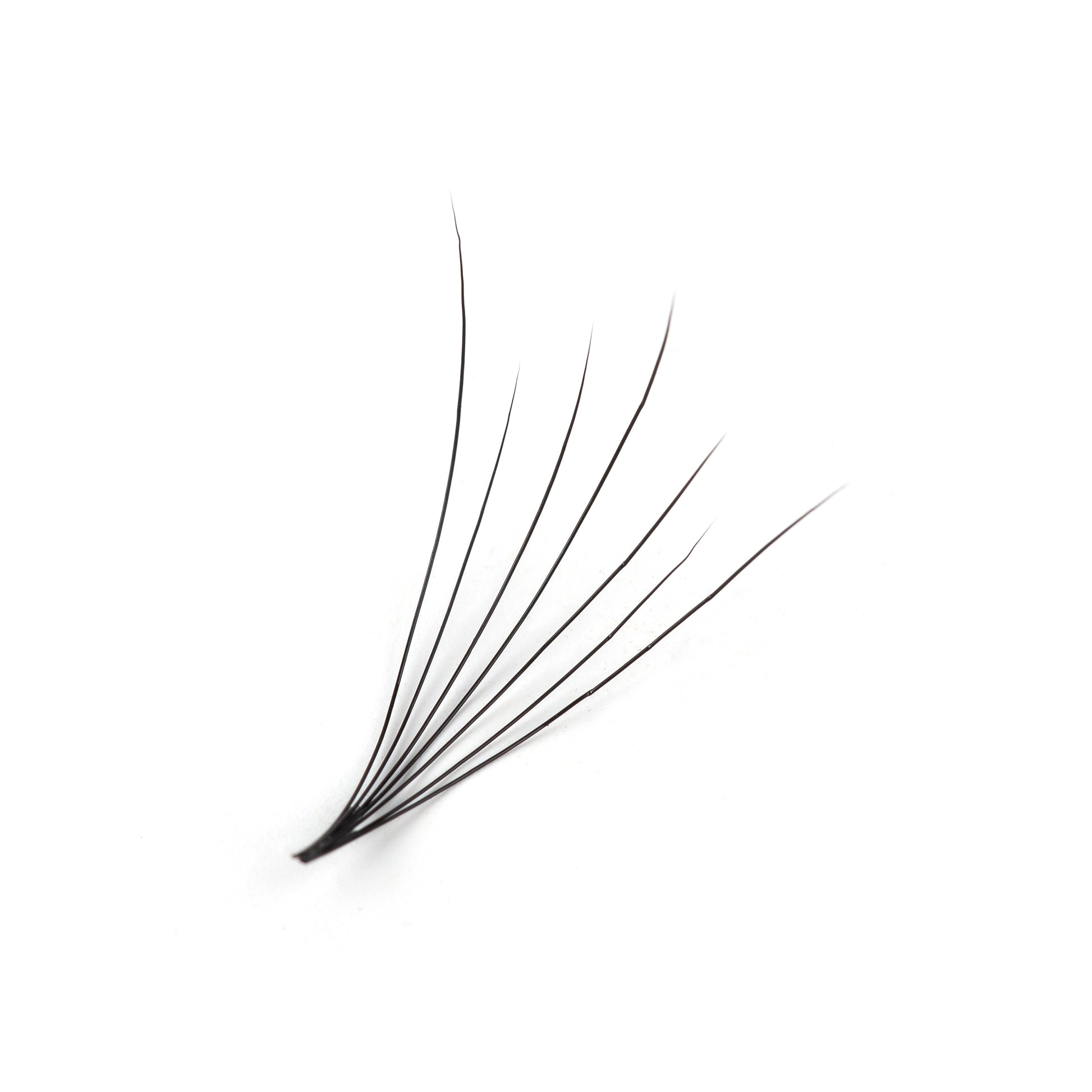 Camellia Volume Lashes