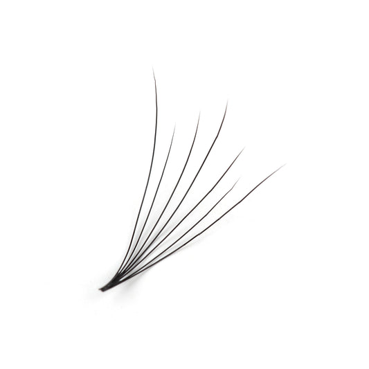 Camellia Volume Lashes