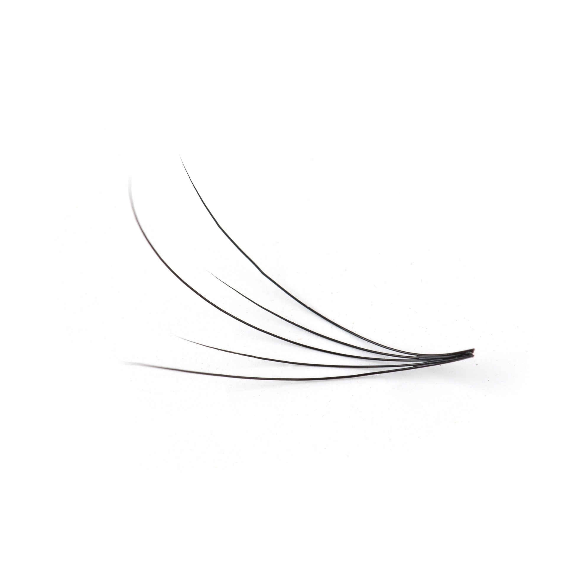 Camellia Lash Extensions