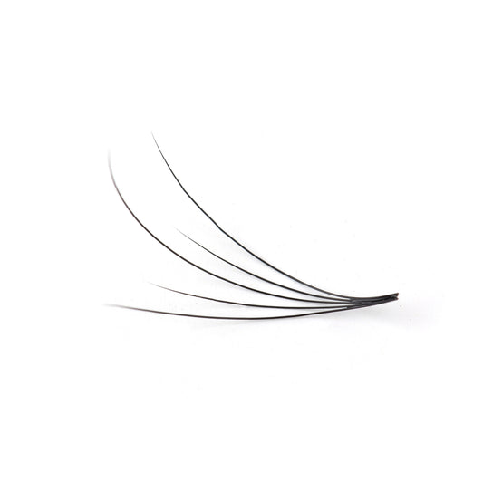 Camellia Lash Extensions