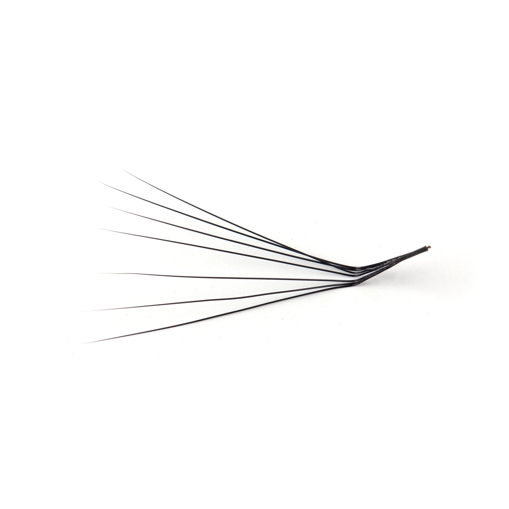L curl lash extensions