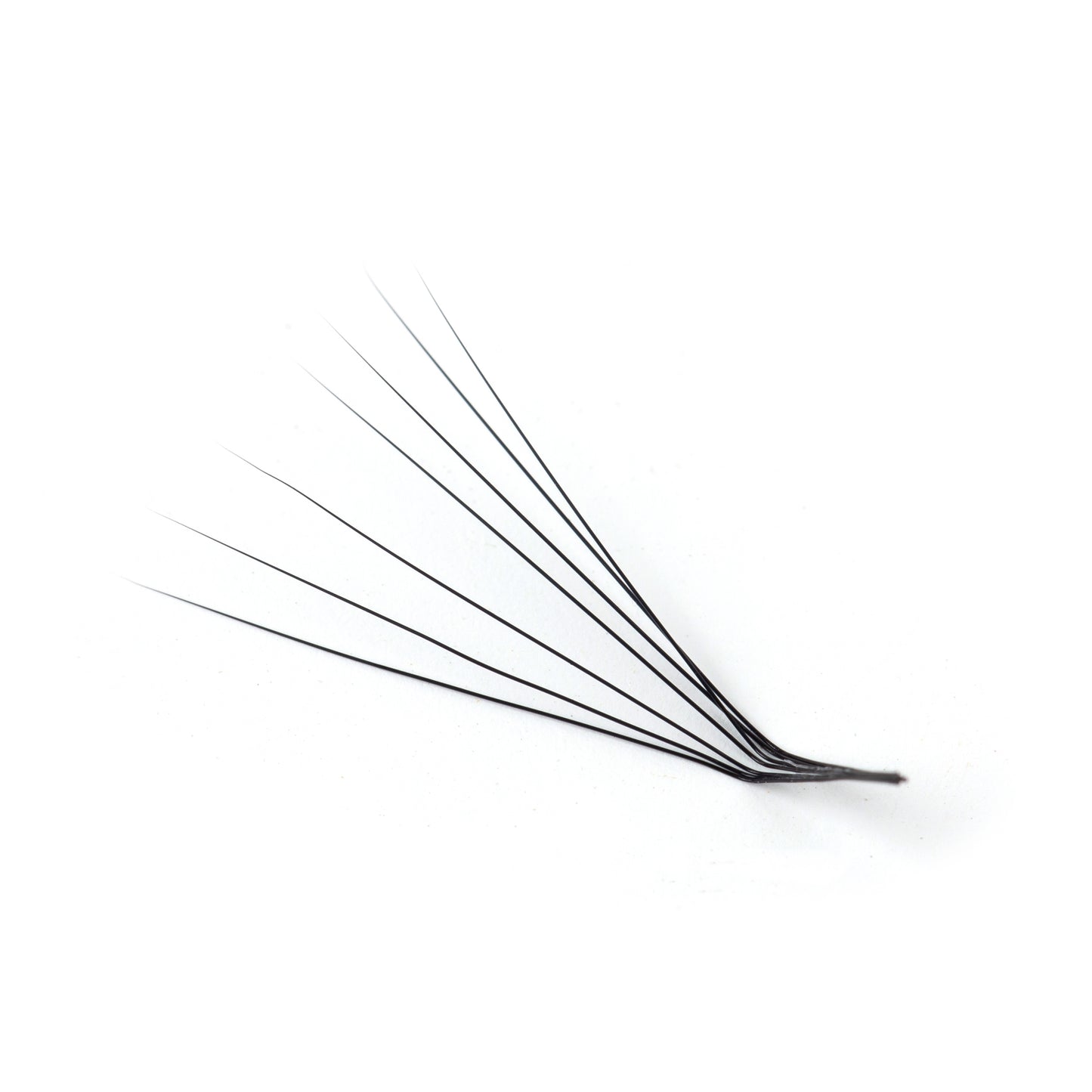 L curl lash extensions
