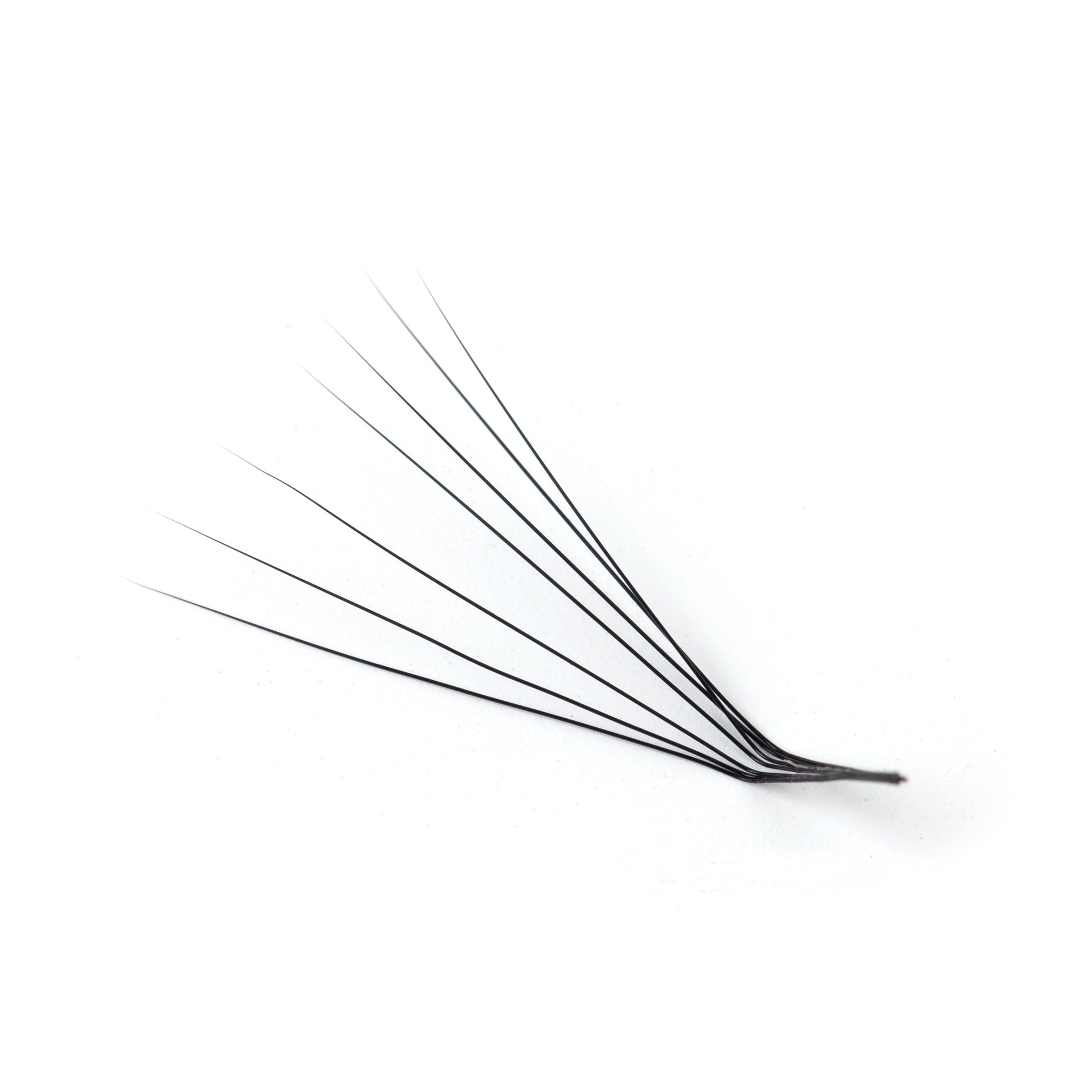 L curl lash extensions