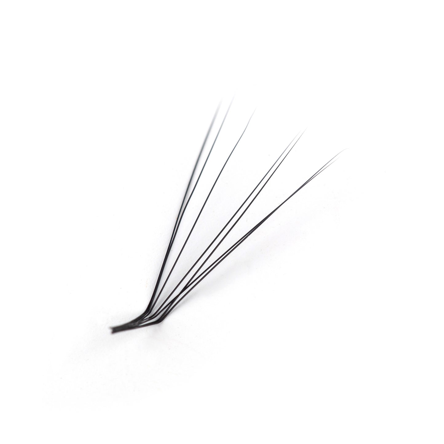 L curl lash extensions
