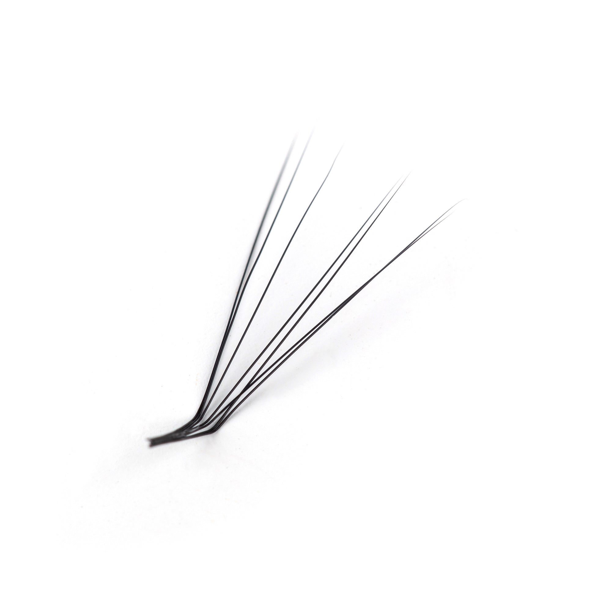 L curl lash extensions