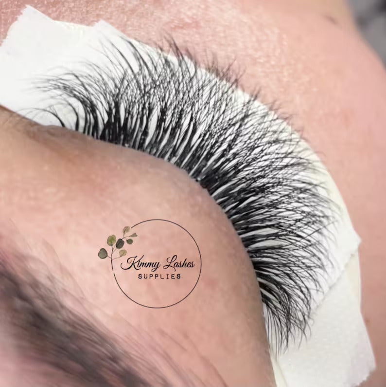Premade Lash Fans