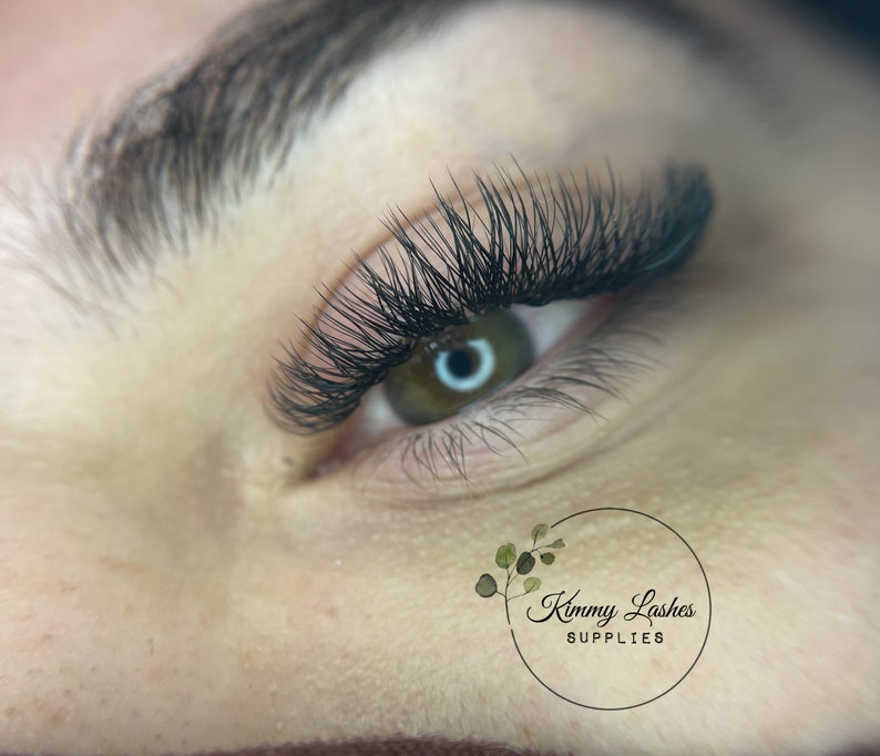 Volume Eyelash Extension